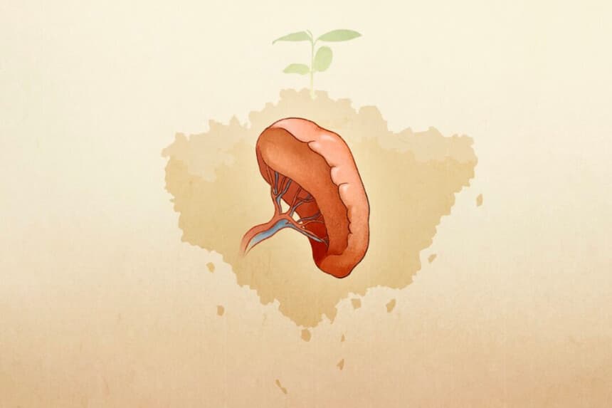 Ilustración de The Epoch Times, Shutterstock.