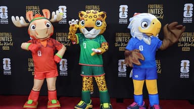 Final de la Copa del Mundo FIFA anuncia un espectáculo del medio tiempo, con Madonna, Shakira y más.