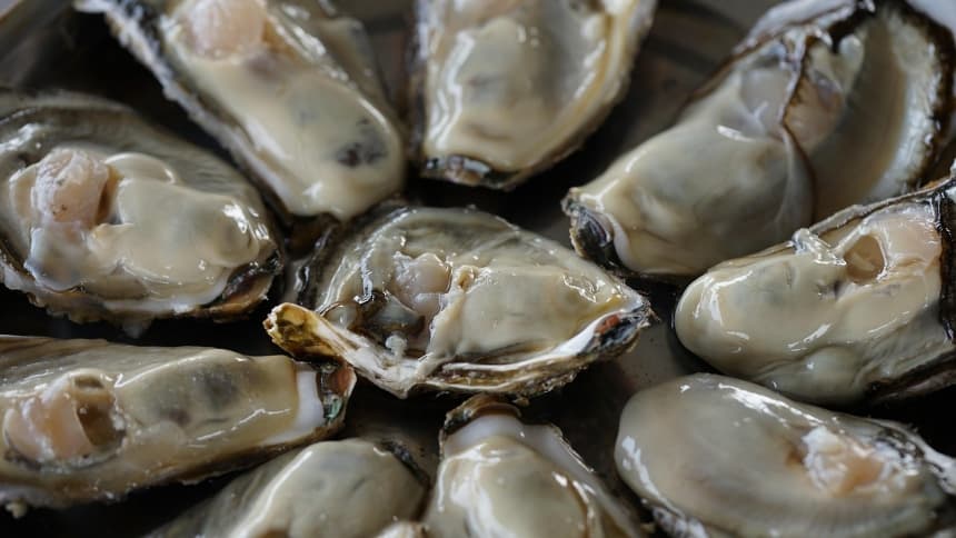 Ostras crudas. (Artur Ferreira/Pixabay)