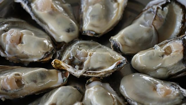 Ostras crudas. (Artur Ferreira/Pixabay)