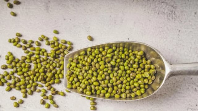 Frijoles mungo: pequeñas legumbres que alivian la inflamación y favorecen la desintoxicación
