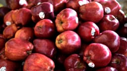 Manzanas de EE. UU. en la mira: México abre investigación antidumping sobre su importación