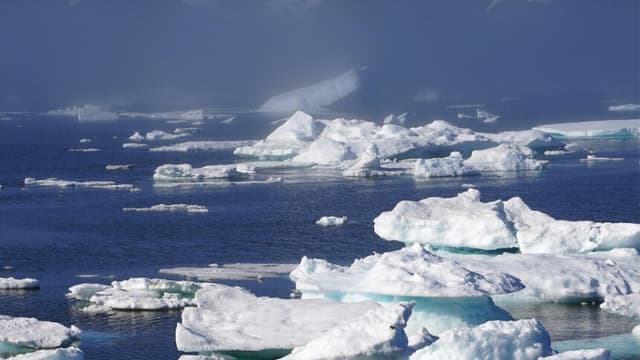 Imagen Ilustrativa: Bernd Hildebrandt/Pixabay).