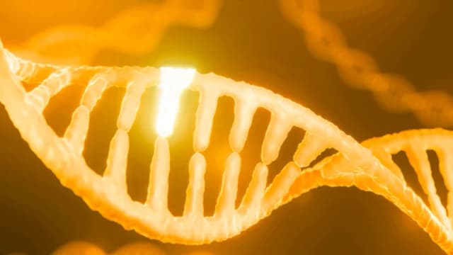 Los genes no son su destino, modifique su epigenética para vivir más y mejor