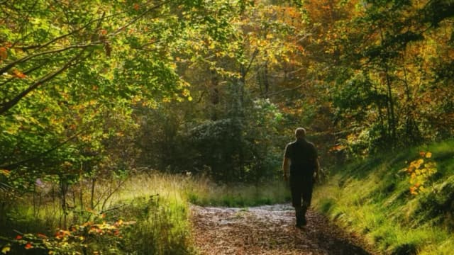 Su cerebro y el aburrimiento: por qué no hacer nada puede ser esencial