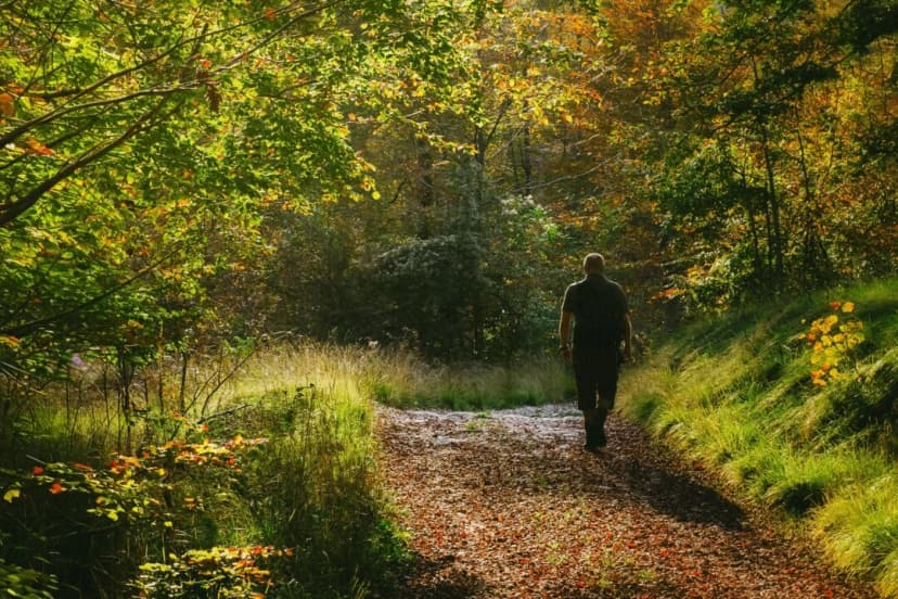 Linda Blazic-Mirosevic/Shutterstock