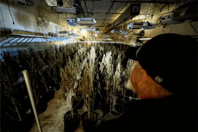 Oklahoma legalizó la marihuana medicinal, y entonces llegó el crimen organizado chino