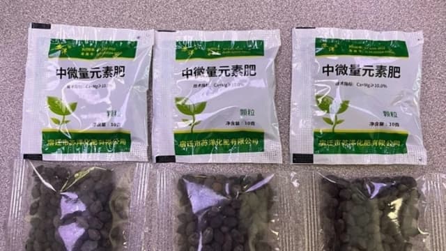 Tejanos informan aumento de semillas misteriosas enviadas por correo desde China