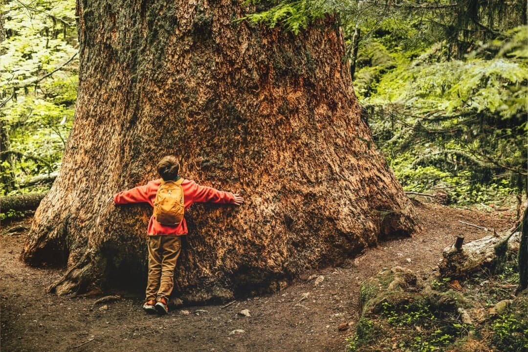 (Jordan Siemens/Getty Images)