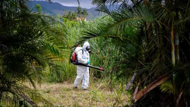 CDC emiten alertas sanitarias para viajeros a dos países por virus de chikungunya