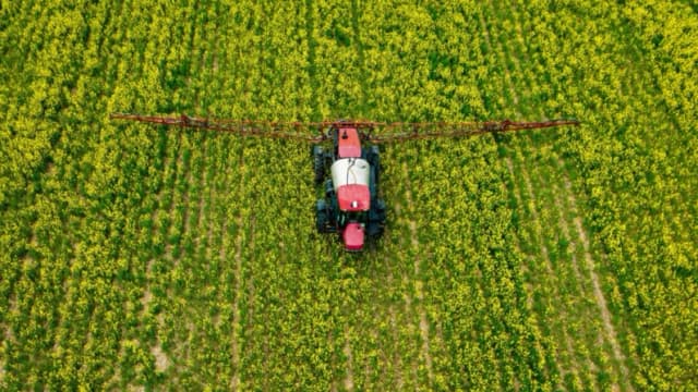 El argumento conservador a favor de la reforma de los pesticidas