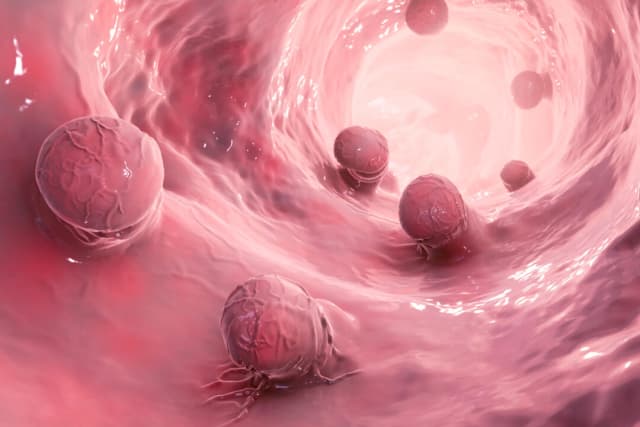 (Kateryna Kon/Shutterstock)
