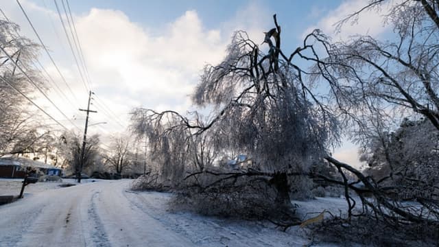 Mientras millones se recuperan de tormentas invernales, aumentan advertencias sobre estafas