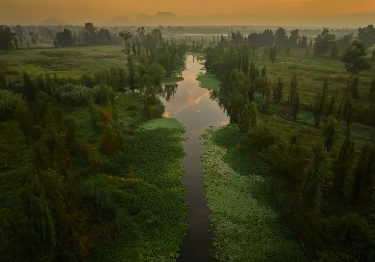 "Camino verde", de Iván Macías. (5.º Concurso Internacional de Fotografía NTD)