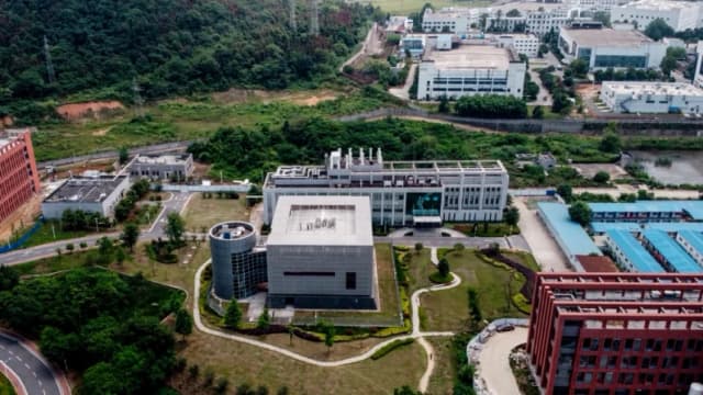 Mientras China afirma no tener virus Nipah, prepara kits de prueba y posible fármaco