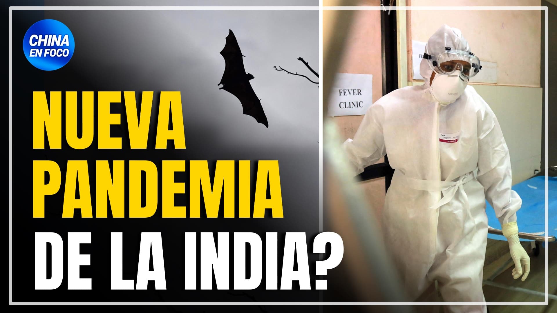 Brote de virus Nipah en India pone toda Asia en alerta. China en estado de “casi-guerra”