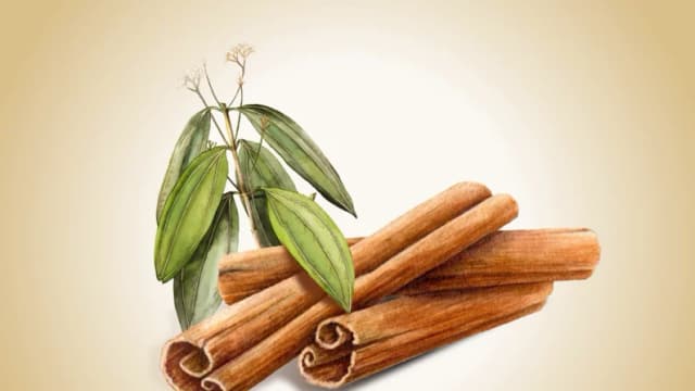 Canela: Una especia funcional que mejora el azúcar en sangre y reduce la inflamación