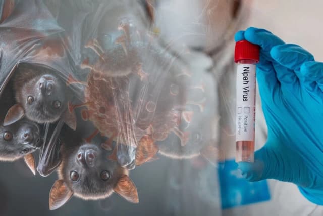 (frank60/Shutterstock)