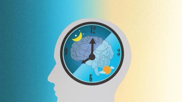 Los relojes internos podrían predecir el riesgo de demencia décadas después