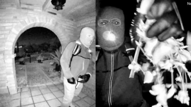 FBI aumenta a 100,000 USD para localizar a Nancy Guthrie y publica nuevos detalles del sospechoso