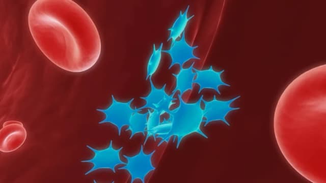 Investigación sugiere causa de efecto secundario de coagulación sanguínea por vacuna contra COVID-19