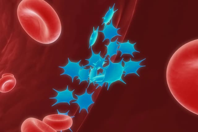 (3dMediSphere/Shutterstock)
