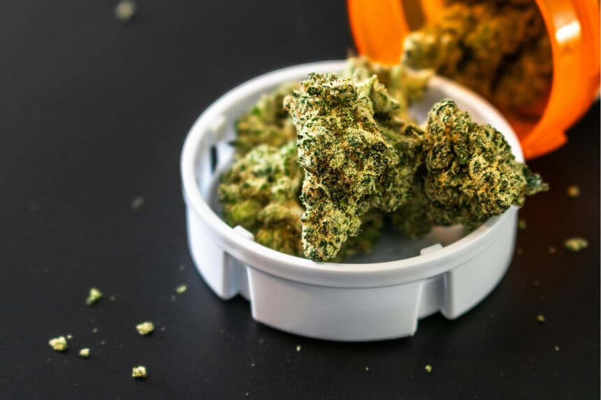 Imegen Ilustrativa: (Terrance Barksdale/Pexels).