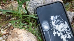 Savannah Guthrie anuncia recompensa de USD 1 millón por información sobre la desaparición de su madre