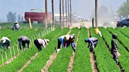 ¿Qué pasará con los inmigrantes ilegales?