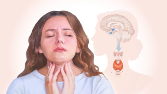 Hipotiroidismo: Causas del trastorno tiroideo más común que altera el funcionamiento del organismo