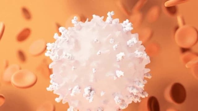Linfocitos: Los guerreros contra el cáncer que tal vez estemos pasando por alto