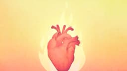 El corazón: órgano monarca que gobierna la alegría y las formas de nutrirlo