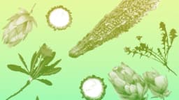 ¿Por qué comer más alimentos amargos?