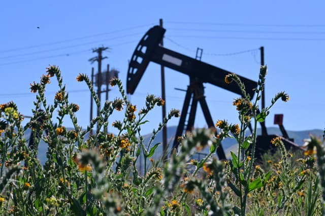 Flores silvestres florecen frente a una torre de perforación petrolera en el campo Midway-Sunset, operado por Chevron Corporation y otras empresas, en las afueras de McKittrick, en el condado de Kern, California, el 8 de marzo de 2026. Los precios del petróleo subieron por encima de los 100 dólares por barril por primera vez en casi cuatro años el 8 de marzo, debido a la preocupación de que la espiral de guerra en Oriente Medio pudiera provocar interrupciones prolongadas en el suministro. (Frederic J. Brown / AFP a través de Getty Images).