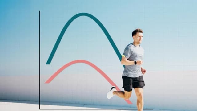 Investigadores señalan cuándo la condición física comienza a decaer