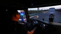 Aumento de precios del petróleo afectan al sector del transporte por carretera y la logística en China