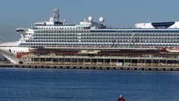 Brote de norovirus afecta a más de 150 personas en un crucero de Princess Cruises