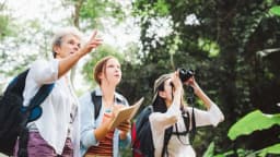 El placer de observar aves: un hobby que genera euforia y alivia la ansiedad