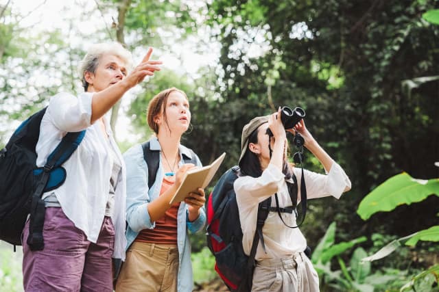 Mirando y estudiando las aves. (Chokniti-Studio/Shutterstock).
