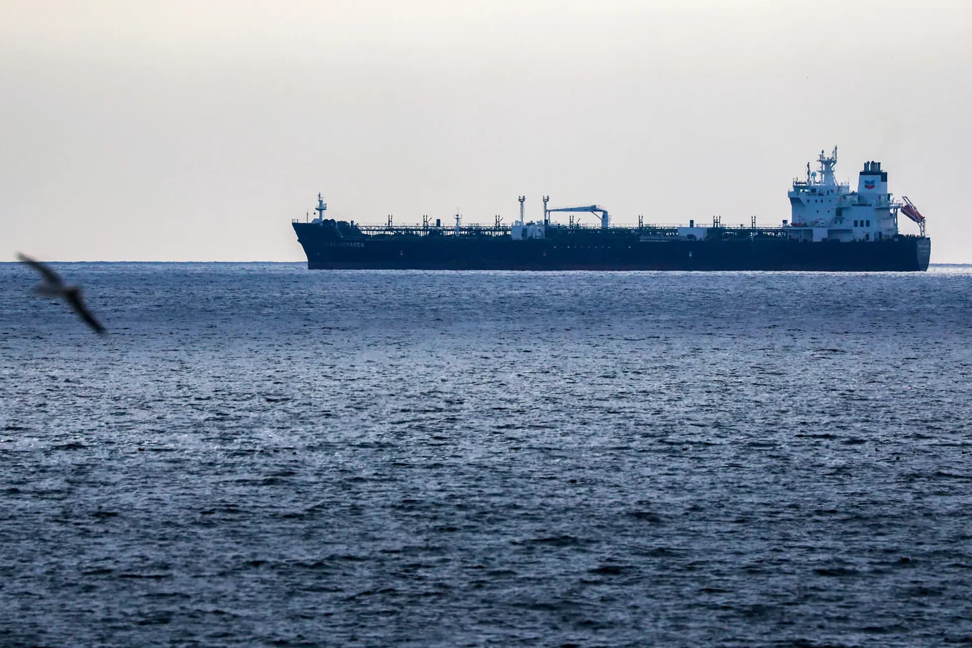 El petrolero "Texas Voyager" se encuentra fondeado frente a la costa de la refinería de Chevron en El Segundo, California, el 4 de marzo de 2026. (Patrick T. Fallon/AFP vía Getty Images).