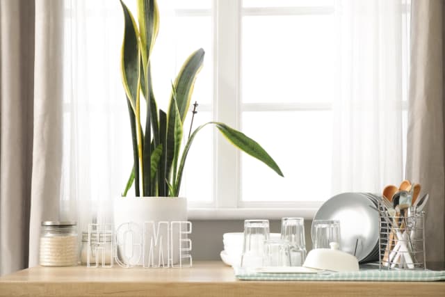 Mi rutina de organización siempre comienza en la cocina, porque es allí donde el desorden se acumula y se arma un verdadero caos. (Pixel-Shot/Shutterstock).