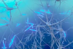 La neurociencia revela: Lo que usted cree puede transformar su cuerpo