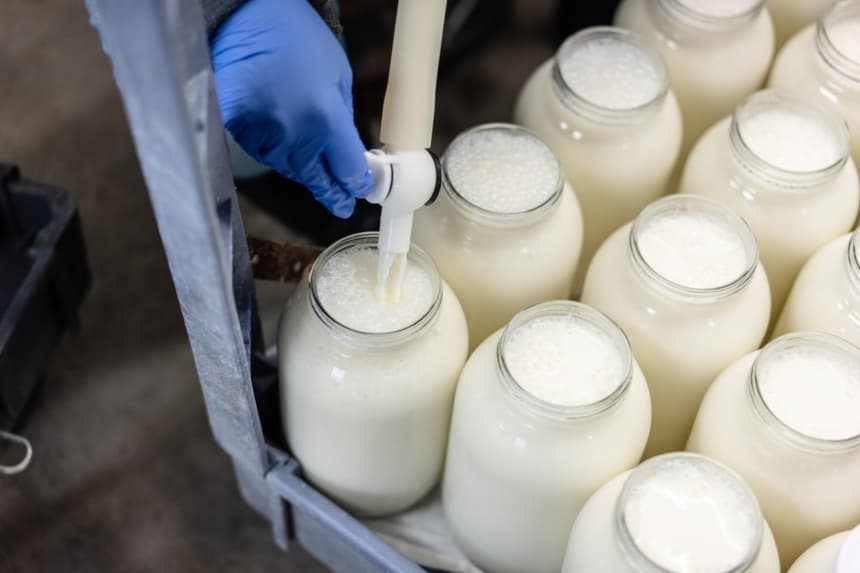 Alertan por Brote de E. coli vinculado a leche bronca y queso: Ya van 9 casos en EE. UU.