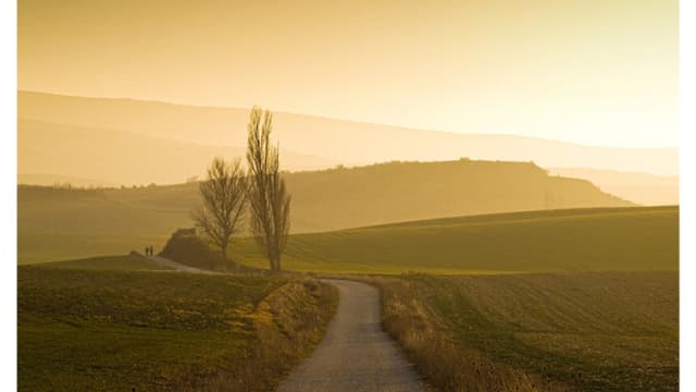 Preston Manning: "Señales en el viento", ¿Presenciamos indicios de un despertar espiritual en Occidente?
