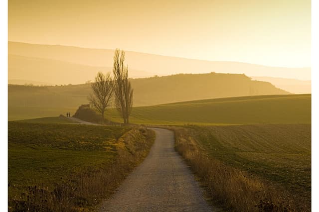 (Ricardolr/Getty Images)