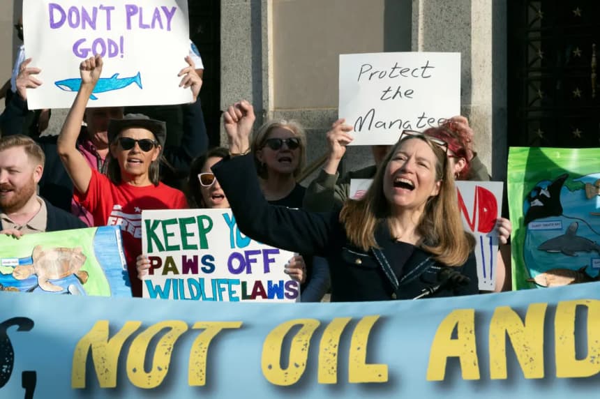 Susan Holmes, directora ejecutiva de la Coalición de Especies en Peligro de Extinción, a la derecha, habla frente al edificio del Departamento del Interior durante una manifestación para oponerse a la convocatoria del Comité de Especies en Peligro de Extinción por parte de la administración Trump, en Washington el 31 de marzo de 2026. (Cliff Owen/AP Photo)