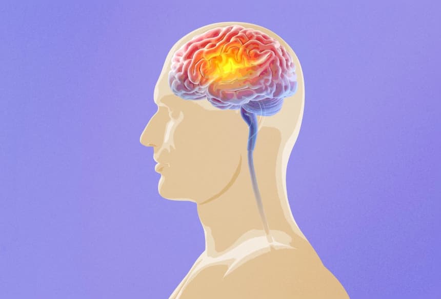 ¿Qué hace que el cerebro de los "supermayores" sea tan especial?