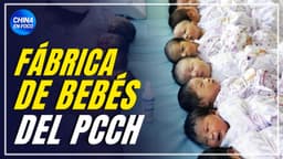 100 hijos por magnate: El plan de China que nadie está viendo