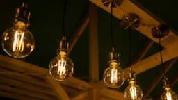 Trump lucha por devolver las bombillas incandescentes: ¿Por qué no se las encuentra en las tiendas?