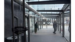 "Preocupante": Cancelan Shen Yun en Toronto tras amenaza vinculada a Beijing, según experta